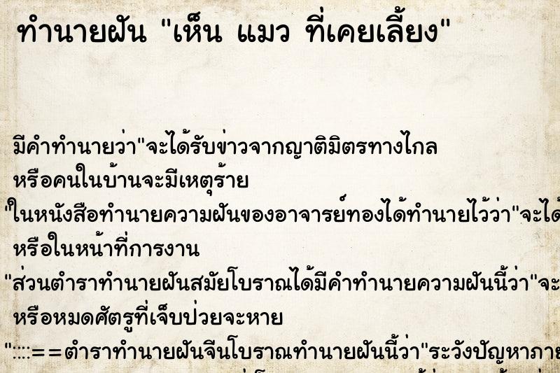 ทำนายฝัน เห็น แมว ที่เคยเลี้ยง ทำนายฝัน เห็น แมว ที่เคยเลี้ยง